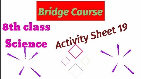 8th | Science | Bridge Course| Activity sheet 19 | Semi English medium | day 19 |