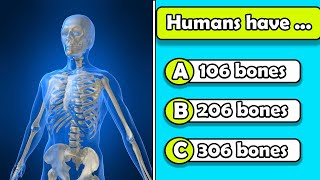 General Knowledge Quiz #2. Human Body Quiz. screenshot 3