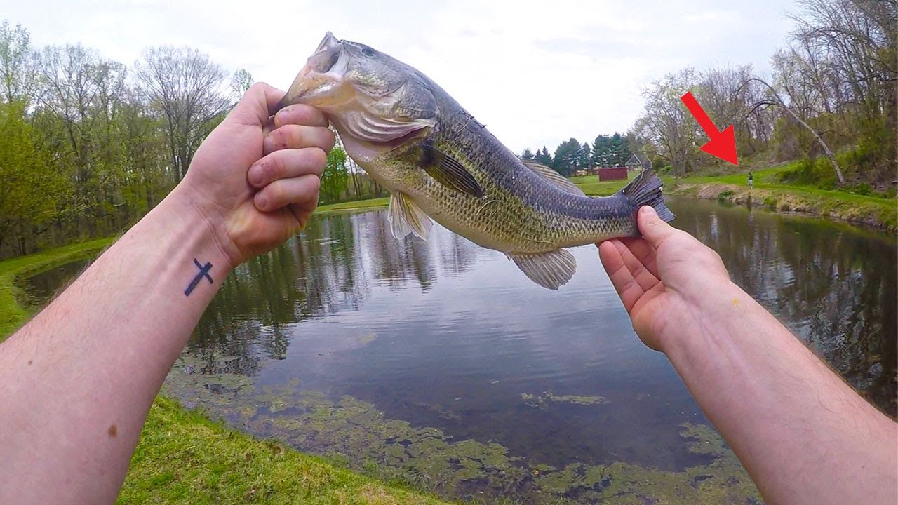Spring Bass Fishing (From The Bank) 