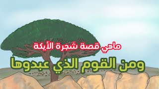 قصص الانبياء (10) نبي الله شعيب عليه السلام وما سر هذه الشجرة والحجارة ؟