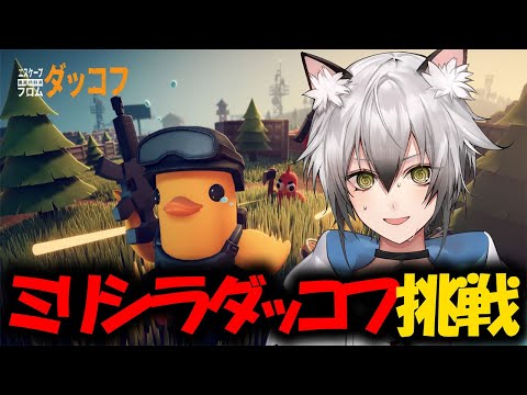 【ダッコフ】ミリシラダッコフなので教えて【猫瀬乃しん/Roselta】 video thumb