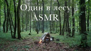 ASMR: один в лесу. Звуки природы. #природа #асмр #охота #животные