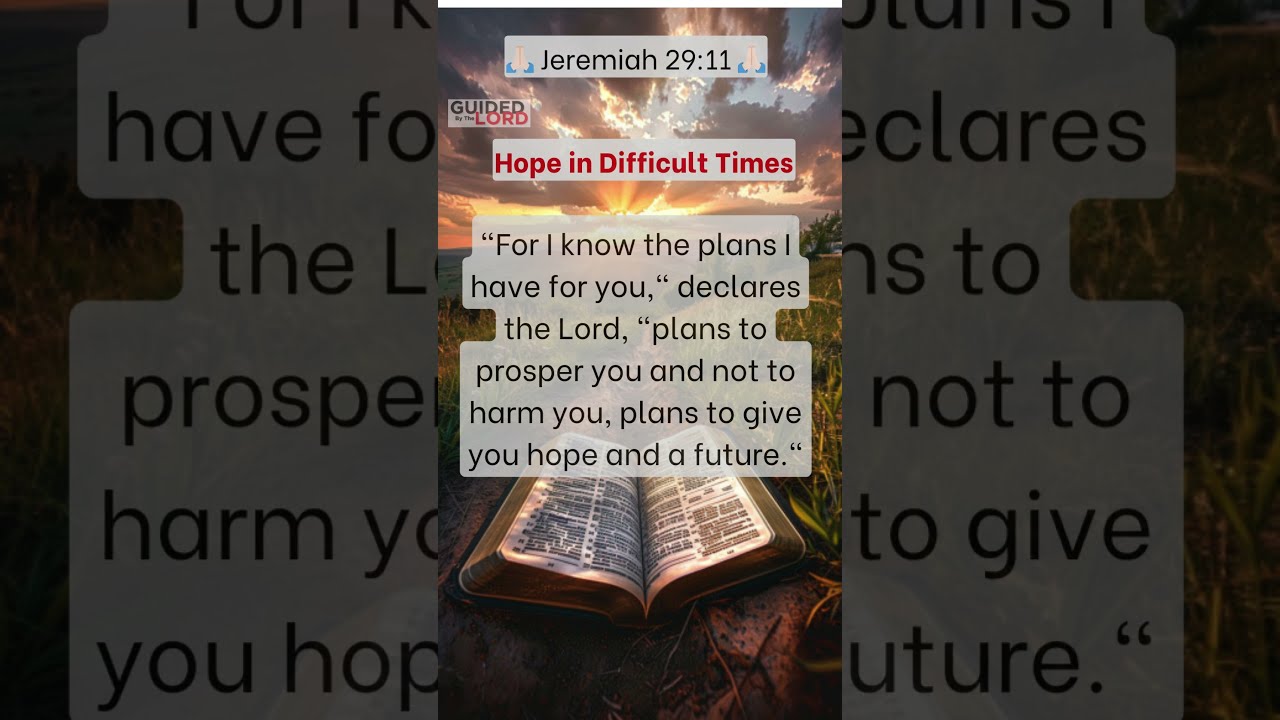 God S Promises For Your Future Jeremiah 29 11 Explained