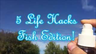 5 Life Hacks Fish Edition!