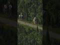 0 to a Small Town in SimCity 4 timelapse simcity4 