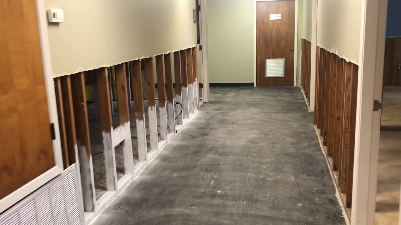 Mold Remediation Fogging - YouTube
