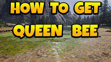 How to Get Queen Bee in Icarus - Olympus Map