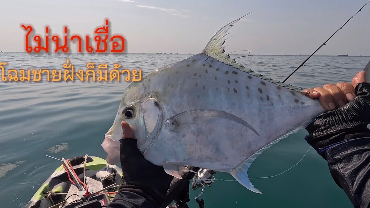 พายคายัคตกปลาล่าโฉมงาม#ปลาโฉมงาม #Fishing trip