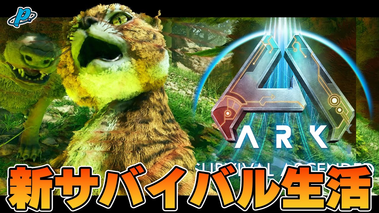 サメのヒレ　空想アパートメント ② A set that includes a great white shark and a hammerhead