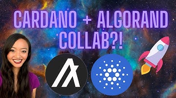 Cardano