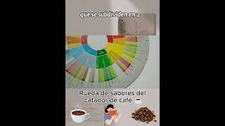 Conoce la Rueda de sabores del café ☕😋