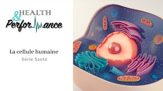 La cellule humaine