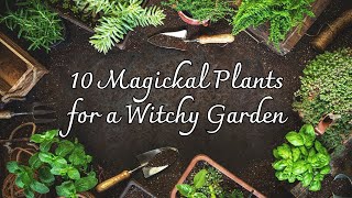 10 Magickal Plants for a Witchy Garden