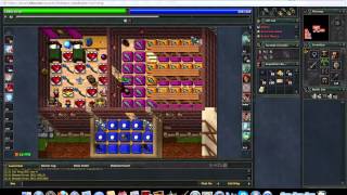 tibia- messing around with the guild hall