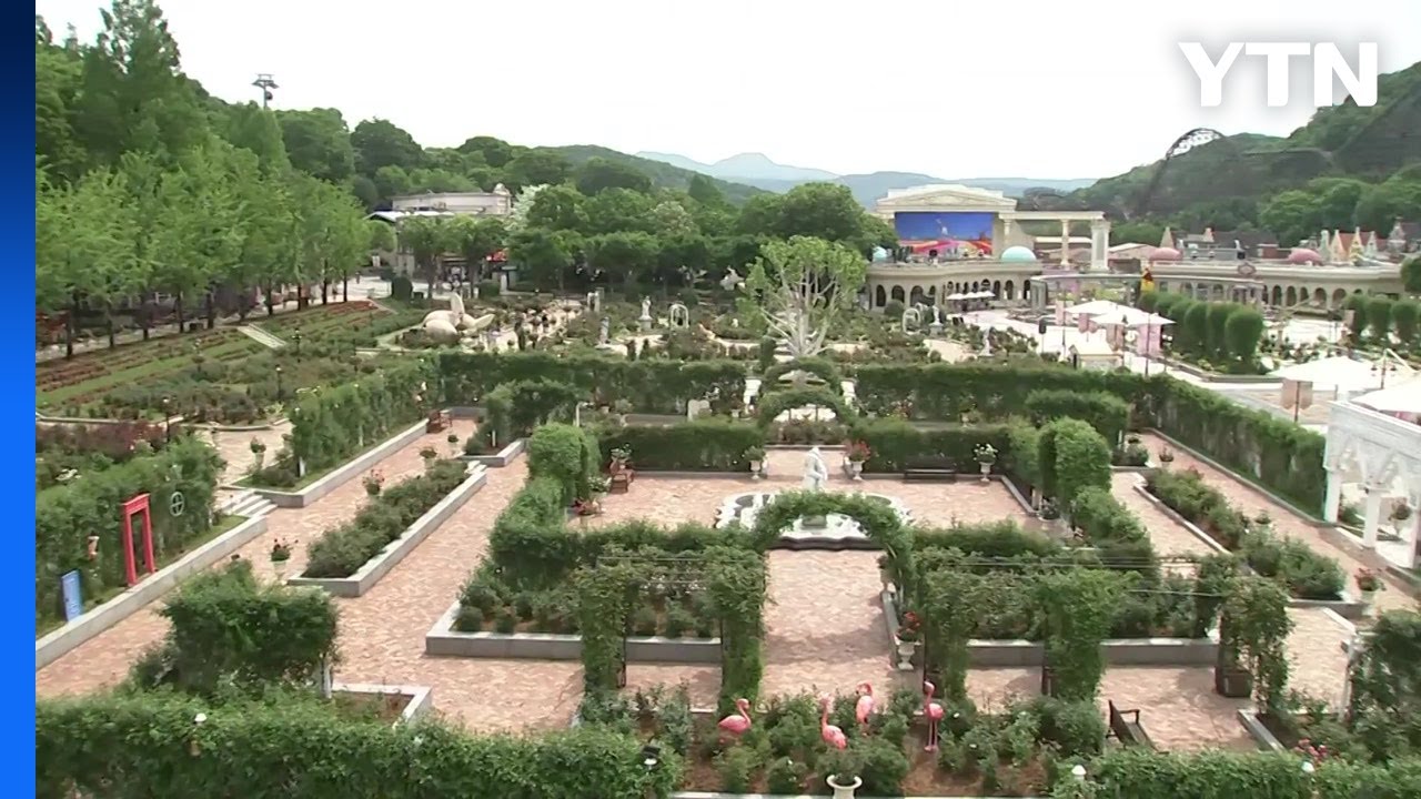 놀이공원 속 장미축제...40년간 6천만 명 다녀가 / YTN