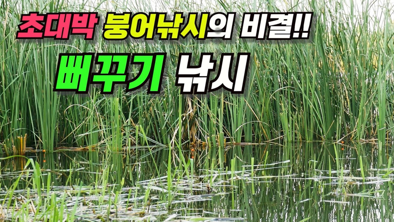 초대박 붕어낚시의 비결!!! 뻐꾸기 낚시