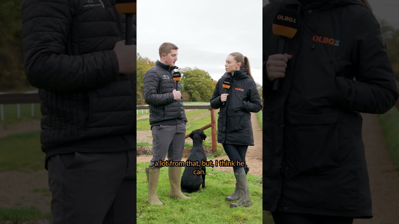 Harry Derham discusses Park Talk ahead of Stratford run | OLBG