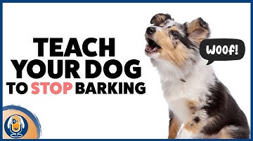 Barking Dogs Fix! Complete Guide To Stop Any Dog