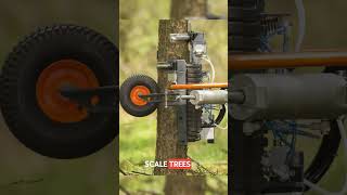 Advanced Automatic Tree Pruning Machine Wealth