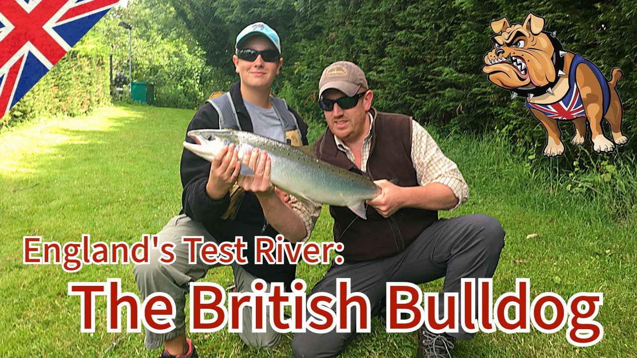 Fly Fishing for ATLANTIC SALMON: Test River, England