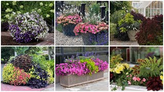 6 Container Combinations to Love! 😍💚🥰 \/\/ Garden Answer