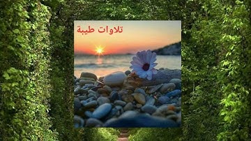 ما تيسر من سورة المنافقون للقارئ ياسين الجزاءري برواية ورش.