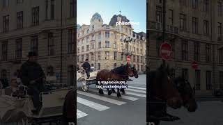 Τρέχεις με το άλογο; Γαυγίζει ο σκύλος σου; Τινάζεις τα χαλιά; Ετοιμάσου να πληρώσεις €85!