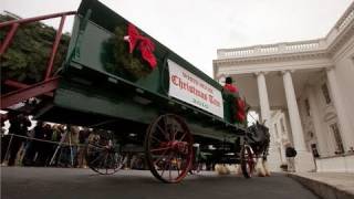 The First Lady Receives the White House Christmas Tree