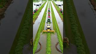 “Precision Above, Giants Below” ⭐ #grasscutting #farming #tractor #epicfarming