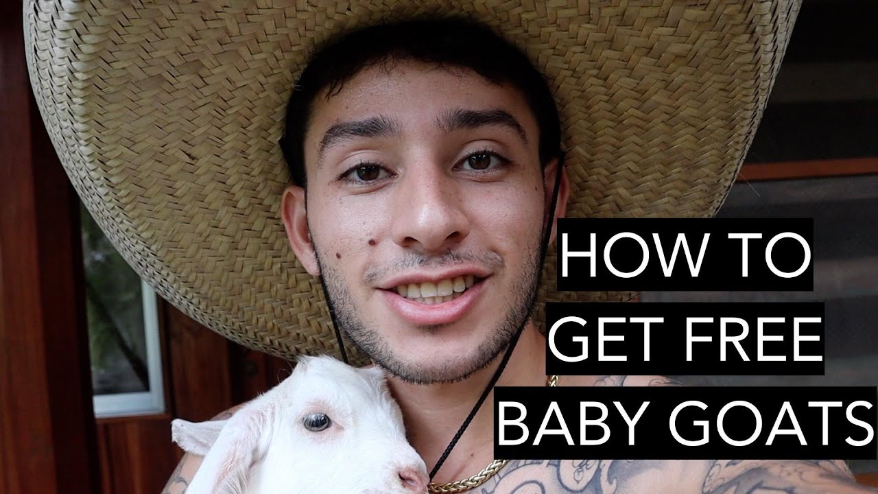 I GOT A FREE BABY GOAT! - VLOG #6