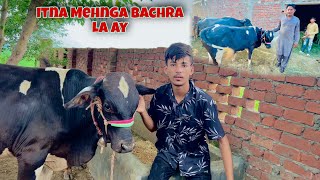 Alhamdulilah New Bachra A Gaya But Itna Mehnga Abdullah Jutt