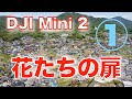 【花たちの扉1/3〜ジュディ・オングの曲にのせて】DJI Mini 2空撮 安芸郡熊野町の皐月(さつき)日より