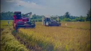 Browns Sumo World 100 vs agrotech eco 100 pro/goyam kapana machine
