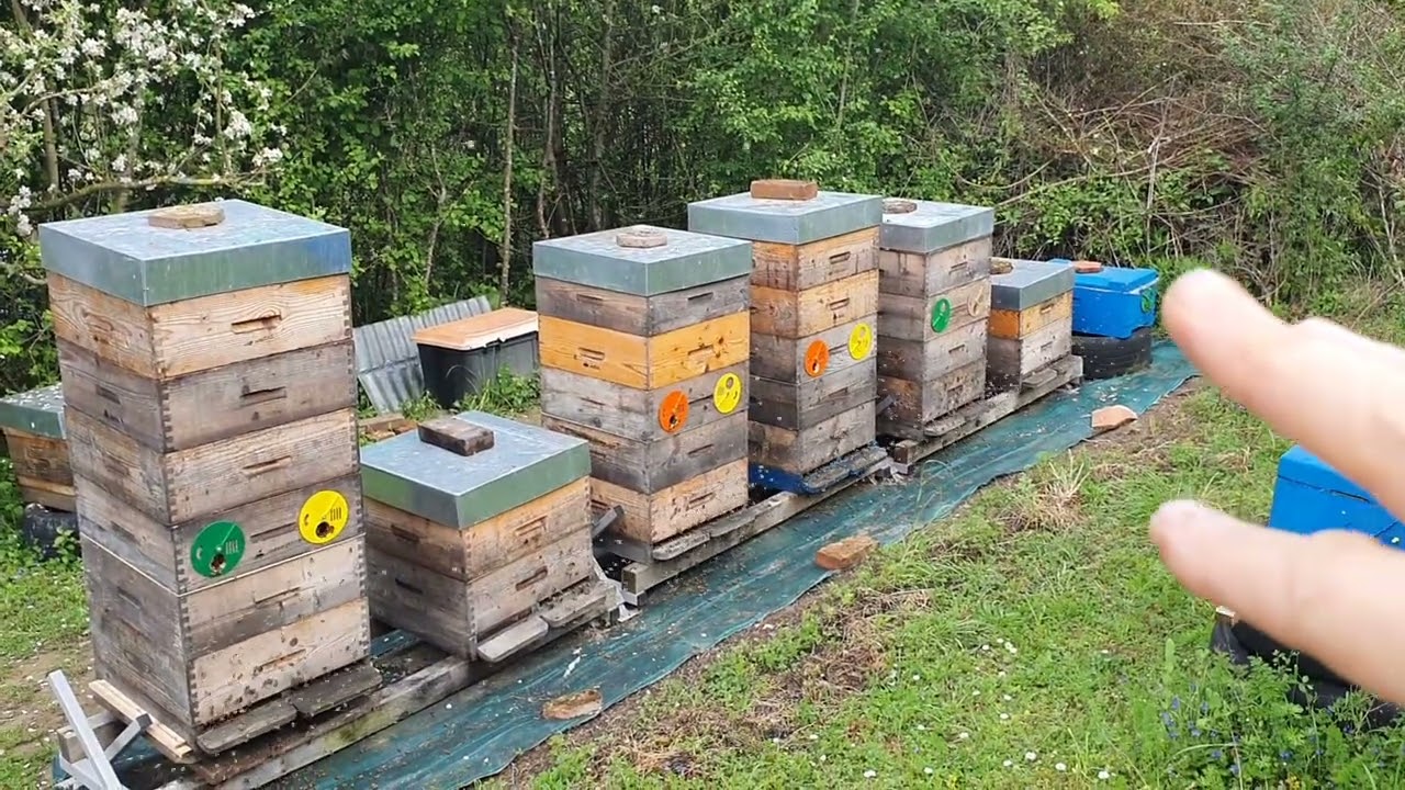 Rame plastic GRATIS - Cum le-au cladit?