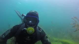 Озеро Кольсай подводный мир.