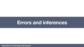 DSPN: Errors and inferences (v1.0)