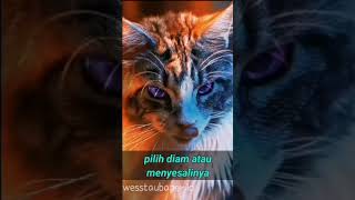 Download Lagu story wa kucing MP3