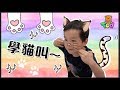 小陶德學唱抖音神曲 &quot;學貓叫🐱&quot;~ 結果就戀愛了！😍 | 沛莉 玩具開箱