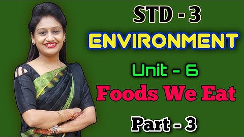 Std.3|Environment|Unit-6|Foods We Eat|Part-3|Different types of food|GCERT|By Krishna Panchal