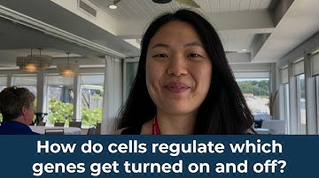 How do cells regulate which genes get turned on and off?