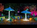 DIY Flying Saucer and Allen Pumpkins - Home & Family