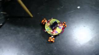 BB8 test 2