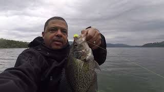 Crappie Post Spawn Clearlake CA