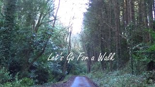 Lets Go For A Walk