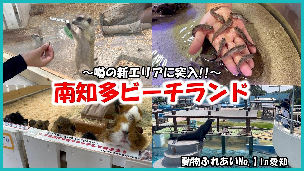 【南知多ビーチランド】動物ふれあいNo 1in愛知～話題の新エリアに潜入‼～