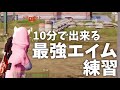 10分で出来る最強のエイム練習方法【荒野行動】
