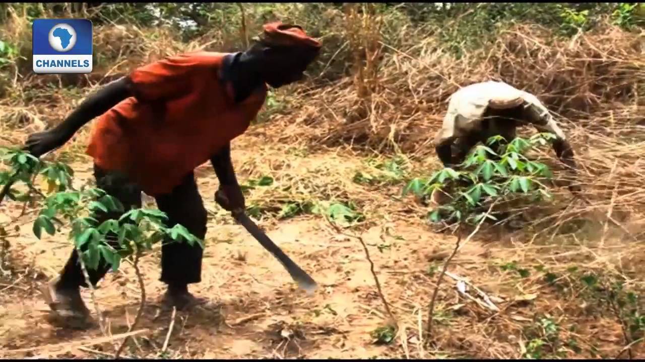 Earth File: Rising Temperature, Consequences and Paris Conference (PT1) 30/10/15