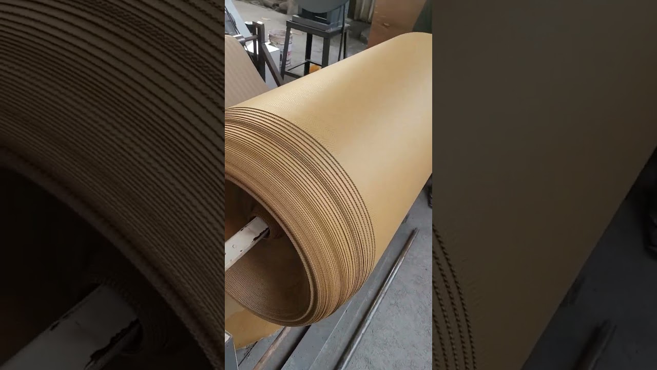 Ripple cup paper blank/fan making machine