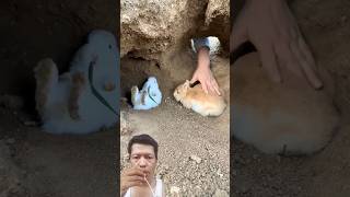 Nangkap Kelinci Di Lubang kelinci rabbit bunny cute lucu hewanlucu cuteanimals shorts short