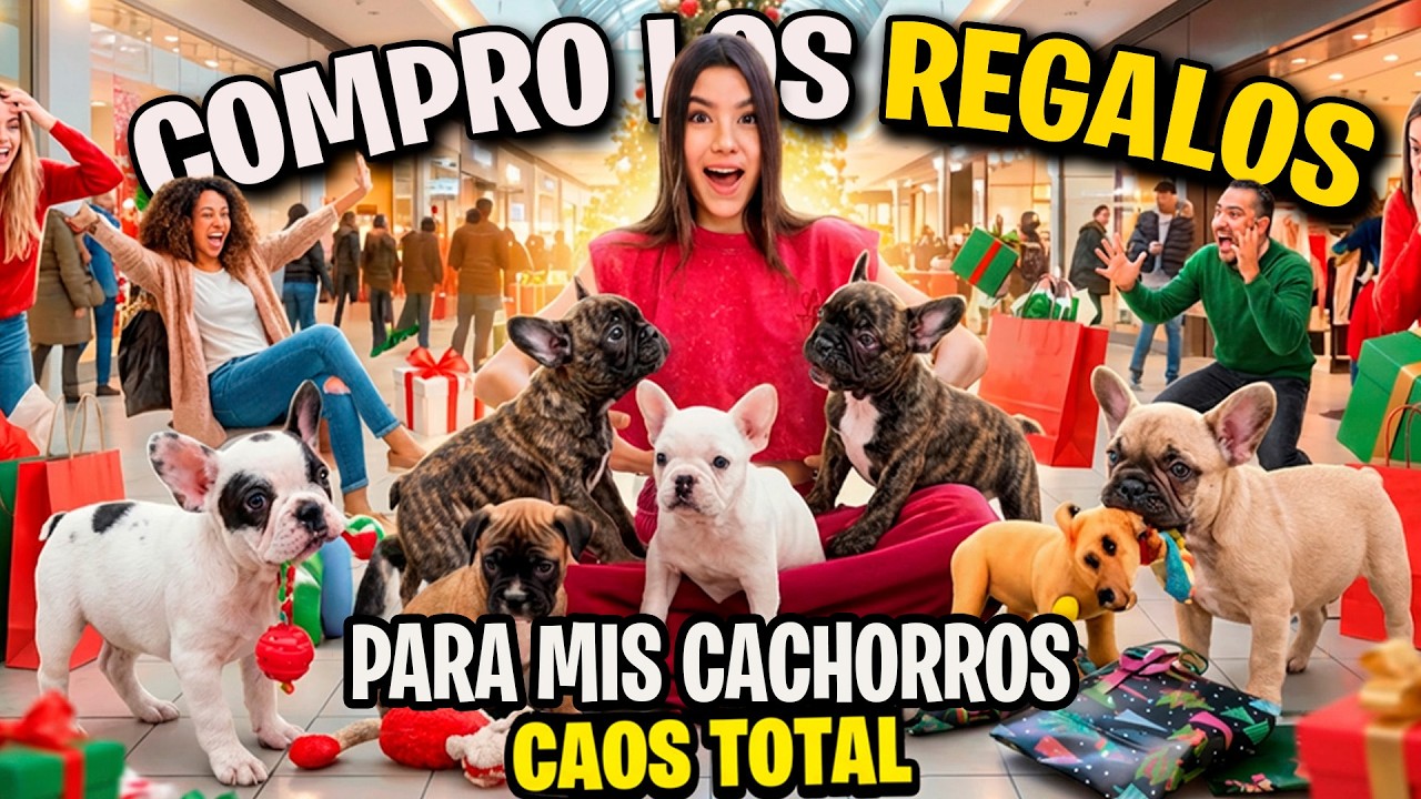LLEVO A MIS PUPPIES A COMPRAR SUS REGALOS DE NAVIDAD | ANA EMILIA